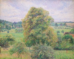 Großer Walnussbaum in Eragny