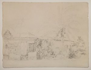 Häuser und Palmen von Camille Pissarro