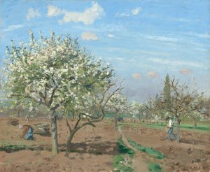 Blühender Obstgarten in Louveciennes