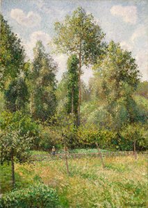 Pappeln, Éragny, 1895