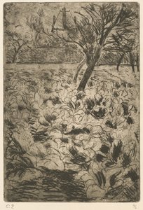 Das Kohlfeld (Le champ de choux) von Camille Pissarro
