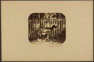 Ziege von Camille Silvy