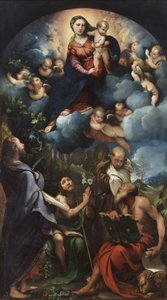 Madonna und Kind in Herrlichkeit mit St. Bartholomäus, St. Johannes dem Täufer, St. Albert und St. Hieronymus von Camillo Boccaccino