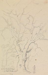 Auf der Newport Road, 12. Februar 1826 von Capt. Thomas Hastings