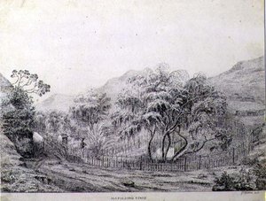 Napoleons Grab auf der Insel St. Helena von Captain G. Rotton