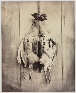 Rebhühner recto, L.D. Campbells Grabmal verso, ca. 1861