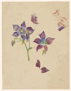 Blumenstudie von Carel Adolph Lion Cachet