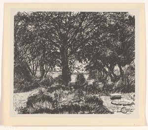 Garten mit großem Baum