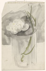 Weiße Blume in einem Glas
