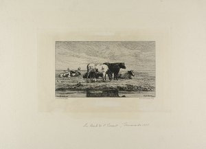 Das Ufer der Escaut