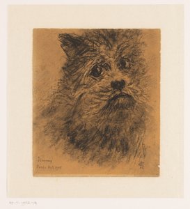 Porträtstudie des Hundes Jimmy
