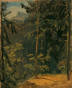 Waldweg im Harz