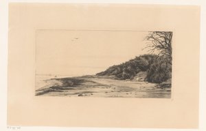 Waldrand am Wasser