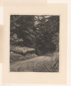 Waldweg
