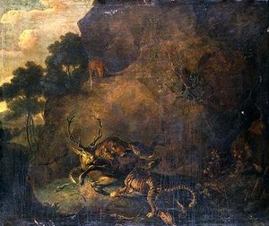 Tiger greifen einen Hirsch in felsiger Landschaft an
