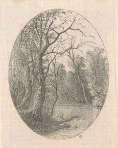 Am Laurel Creek