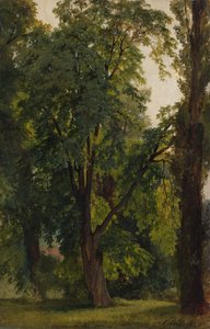 Wald in Königs Wusterhausen