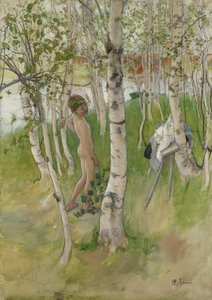 Nackter Junge unter Birken, 1898