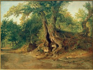 Hain bei Ariccia mit Steineichen von Carl Morgenstern