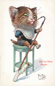 Humorvolle Katzenpostkarte