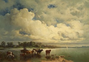 Wasserlandschaft mit Kühen