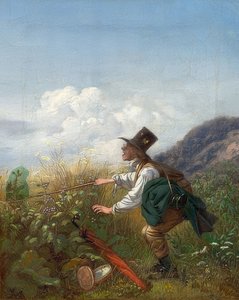 Der Schmetterlingsfänger (Botaniker)