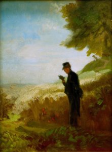 Der Spaziergang