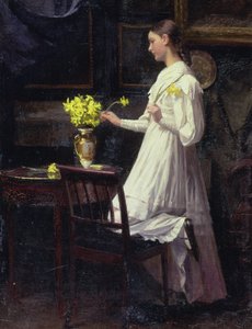 Narzissen arrangieren