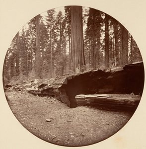 Mammoth Three Grove Hotel, Calaveras Co