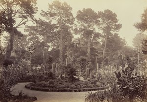  von Carleton Watkins
