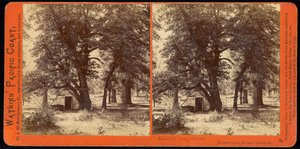 Hütte im Camp Grove, Yosemite Valley, Mariposa County, Kalifornien
