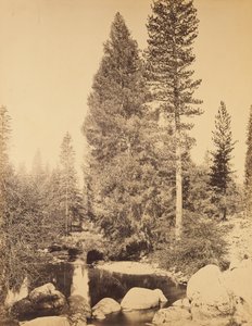  von Carleton Watkins