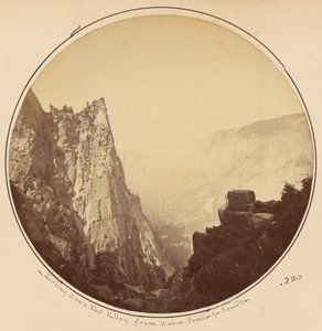 Blick ins Tal von Union Point, Yosemite von Carleton Watkins
