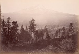 [Mount Shasta] von Carleton Watkins