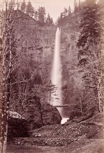 [Multnomah Falls, 700 ft., [Oregon]] von Carleton Watkins