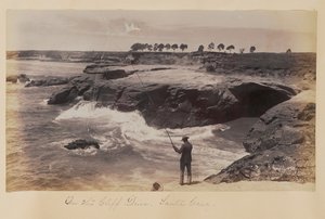 Auf der Klippenstraße, Santa Cruz von Carleton Watkins