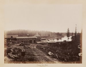 Oswego Eisenwerke, Willamette River von Carleton Watkins