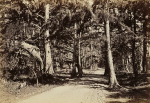  von Carleton Watkins