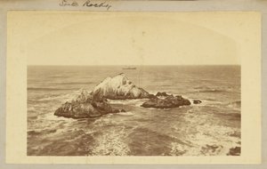 Seal Rocks