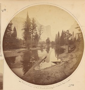 Washington-Säulen von Carleton Watkins