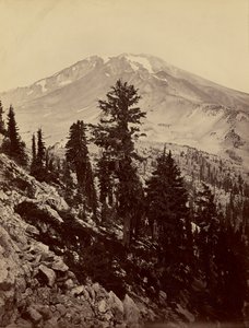 [Williamsonii, Mt. Shasta] von Carleton Watkins