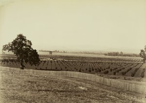  von Carleton Watkins