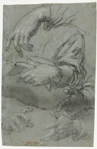 Studien von Händen (recto) von Carletto Caliari
