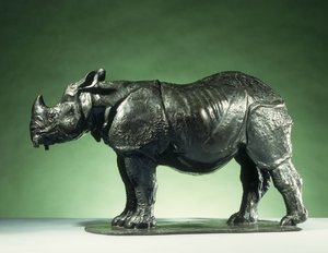3 Jahre altes Nashorn, ca. 1910