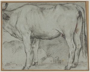 Stehende Kuh (Kopf fehlt) von Carlo Caliari