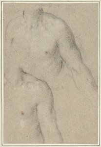 Zwei Studien des Torsos eines jungen Mannes