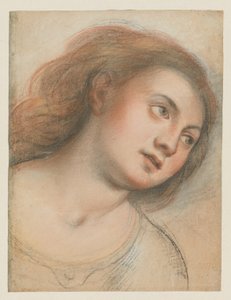 Studie für weiblichen Kopf (verso); Kopf Christi (recto) von Carlo Francesco Nuvolone