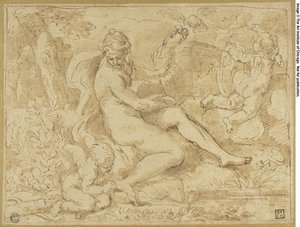 Studie für den Ursprung der Rose von Carlo Maratti