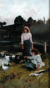 Enten füttern