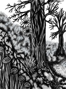 Digitale Kohlezeichnung 1 von Carol Sousa Cuello
